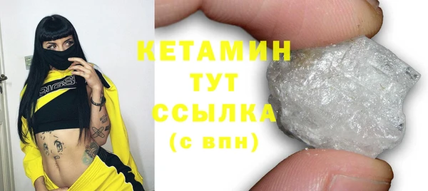 дмт Бородино