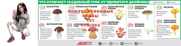 дмт Бородино
