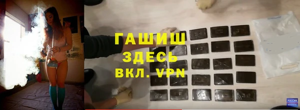 дмт Бородино