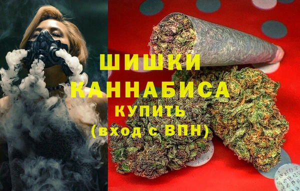 дмт Бородино