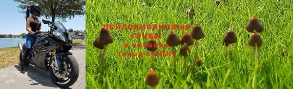 прущие крисы Бугульма