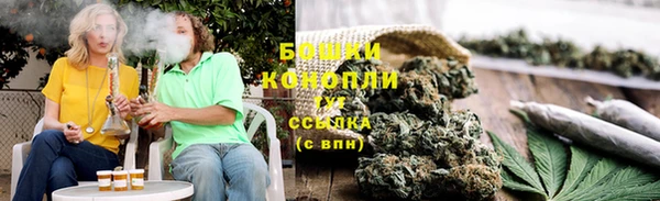 ECSTASY Липки